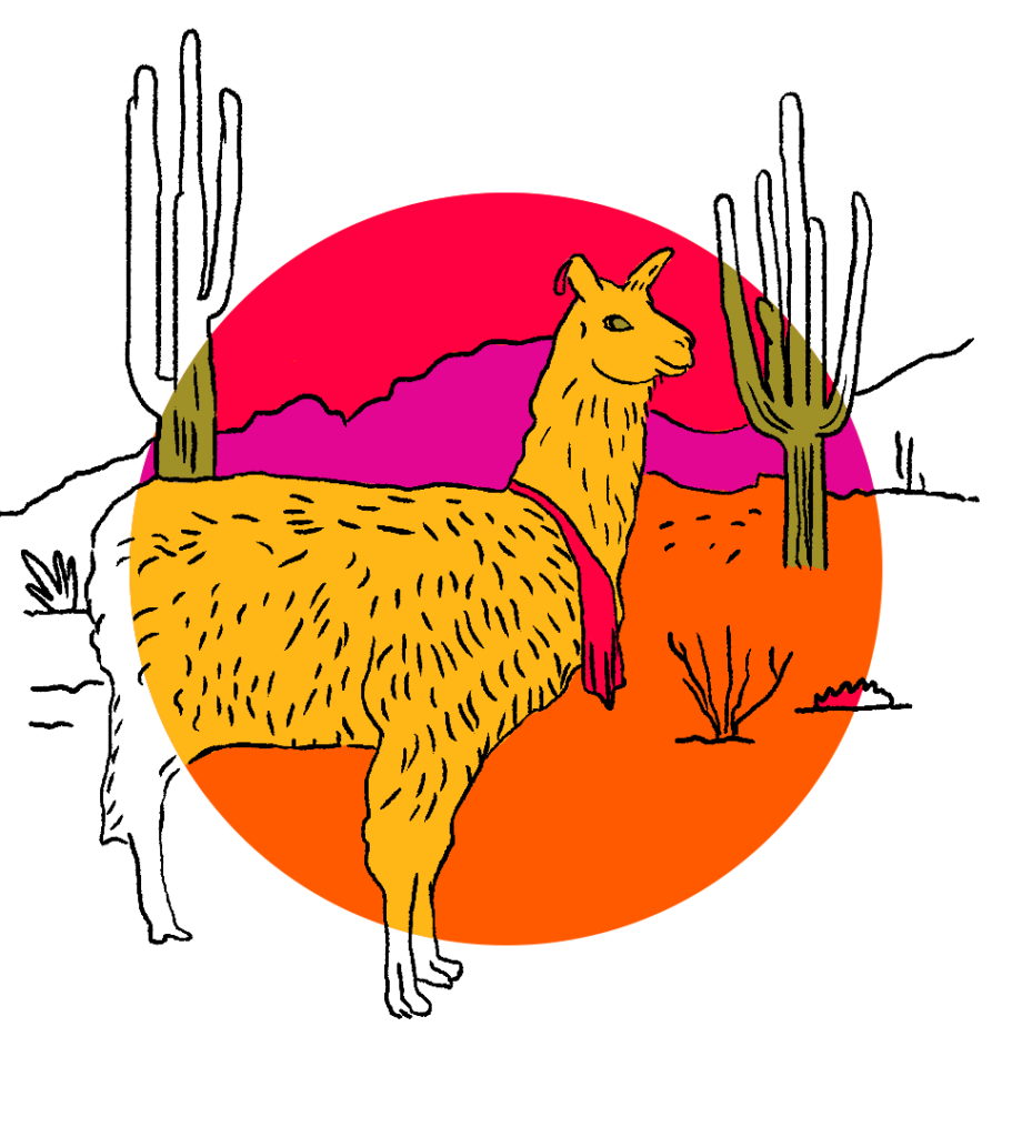 Camel in desert illustration